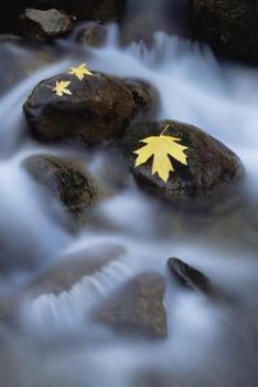 Paperback Autumn's Footprints Notebook Book