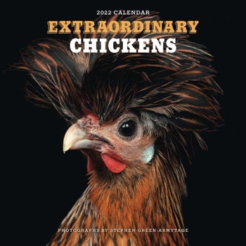 Calendar Extraordinary Chickens 2022 Wall Calendar Book
