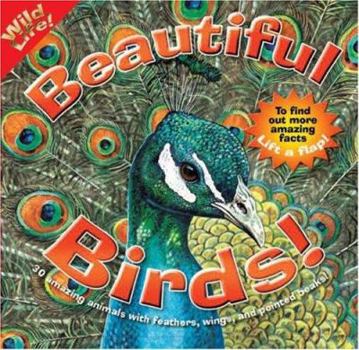 Spiral-bound Beautiful Birds Book