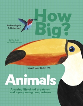 Hardcover How Big? Animals: Amazing Life-Sized Creatures and Eye-Opening Comparisons Book
