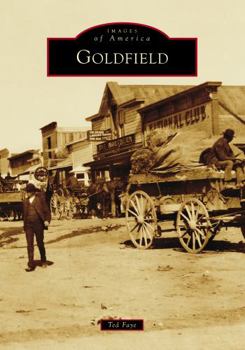 Paperback Goldfield Book