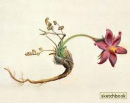 Spiral-bound Sketchbook : Botanical Illustration Book