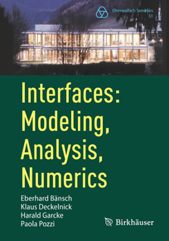 Paperback Interfaces: Modeling, Analysis, Numerics Book