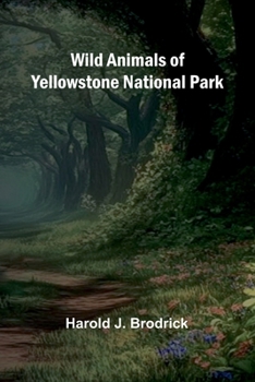Paperback Wild Animals of Yellowstone National Park Book