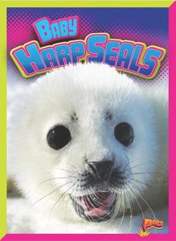 Paperback Baby Harp Seals Book