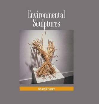 Hardcover Environmental Sculptures: Sculpture Installations Book