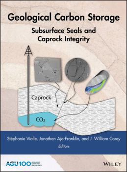 Hardcover Geological Carbon Storage: Subsurface Seals and Caprock Integrity Book