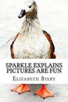 Paperback Sparkle Explains Pictures Are Fun Book