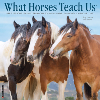 Calendar What Horses Teach Us 2022 Wall Calendar Book
