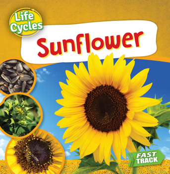 Paperback Sunflower Book