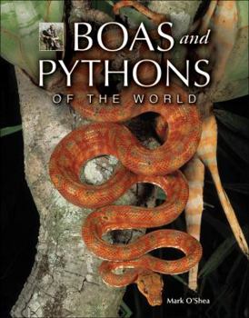 Hardcover Boas and Pythons of the World Book