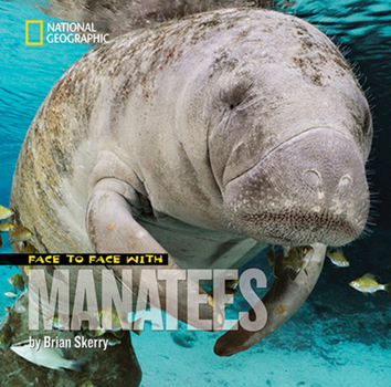 Library Binding Face to Face with Manatees Book