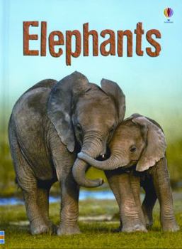 Hardcover Elephants Book