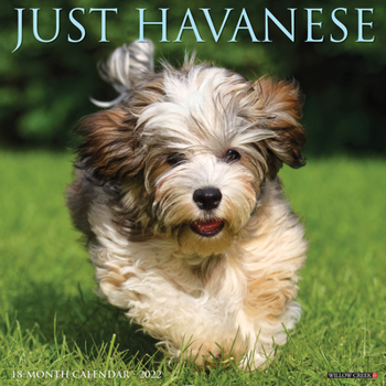 Calendar Just Havanese 2022 Wall Calendar (Dog Breed) Book