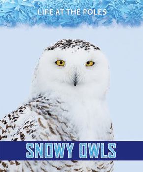 Paperback Snowy Owls Book