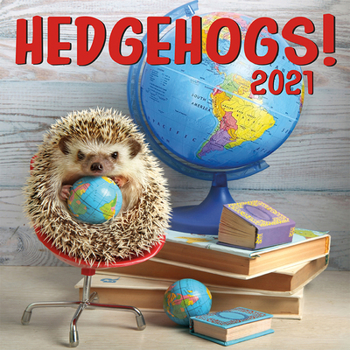 Calendar Cal 2021- Hedgehogs Wall Book