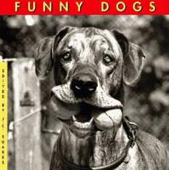 Paperback Funny Dogs Book