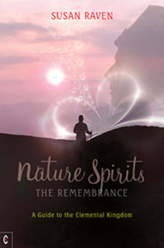 Paperback Nature Spirits: The Remembrance Book