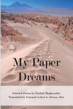 Paperback My Paper Dreams Book