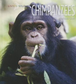 Hardcover Chimpanzees Book