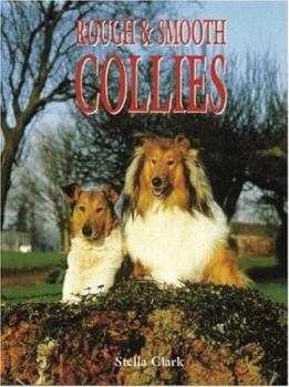 Hardcover Rough & Smooth Collies (Book of the Breed) Book