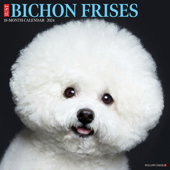 Calendar Just Bichons Frises 2024 12 X 12 Wall Calendar Book