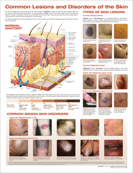 Wall Chart Common Lesions and Disorders of the Skin Anatomical Chart Book