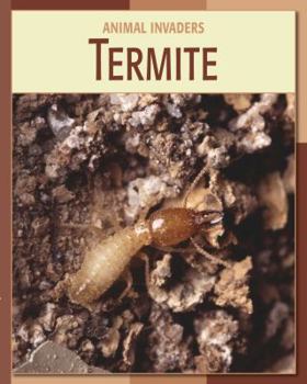 Library Binding Termite Book