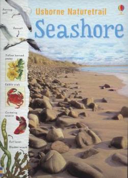 Paperback Seashore. Sarah Courtauld and Conrad Mason Book