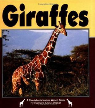 Hardcover Giraffes Book