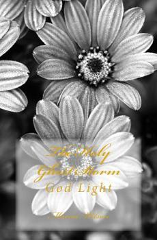 Paperback The Holy Ghost Storm: God Light Book