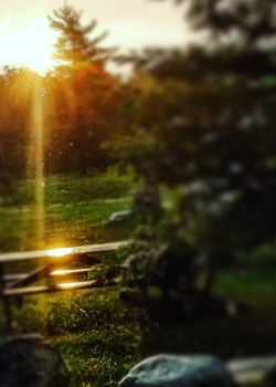 Paperback Sunrise Park Sketch Journal Book