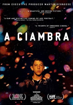 DVD A Ciambra Book