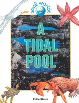 A Tidal Pool (Small Worlds) - Book  of the Small Worlds