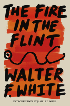 Paperback The Fire in the Flint Book