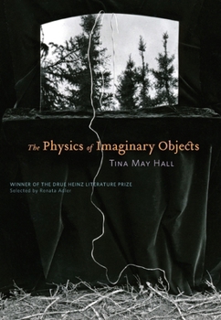 Hardcover The Physics of Imaginary Objects Book