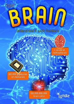 Library Binding Your Brain: Understand It with Numbers Book