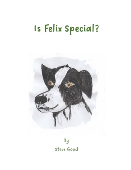 Paperback Is Felix Special? Book