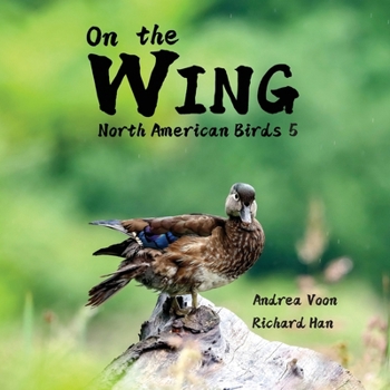 Paperback On the Wing - North American Birds 5 Book