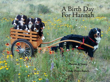 Hardcover A Birth Day for Hannah Book