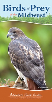 Spiral-bound Birds of Prey of the Midwest: Your Way to Easily Identify Raptors Book