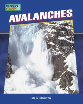 Library Binding Avalanches Book