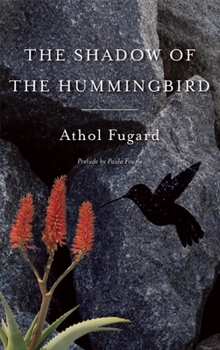 Paperback The Shadow of the Hummingbird Book