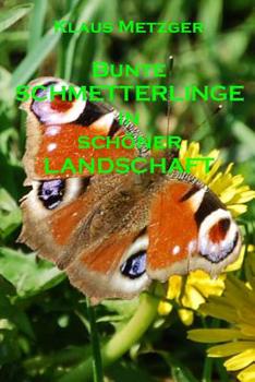 Paperback Bunte SCHMETTERLINGE in schöner LANDSCHAFT [German] Book