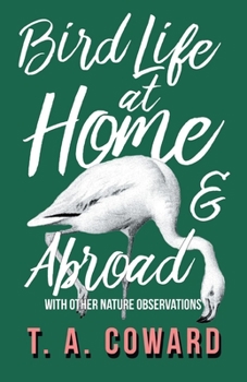 Paperback Bird Life at Home and Abroad - With Other Nature Observations Book