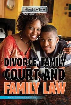 Library Binding Divorce, Family Court, and Family Law Book
