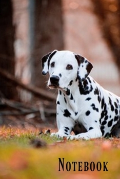 Notebook: Cute Dalmatian dog lined paperback jotter