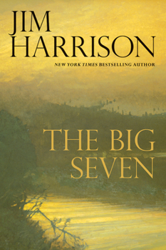 Hardcover The Big Seven Book
