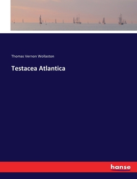 Paperback Testacea Atlantica Book