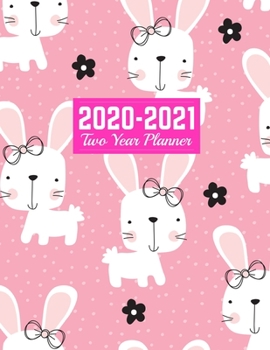 Paperback 2020-2021 Two Year Planner: January 1, 2020 to December 31, 2021 - Weekly & Monthly View Planner, Organizer & Diary - Art Cover 00023189 Book